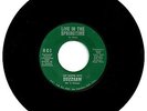 BUZZSAW “Live In The Springtime FUZZ GARAGE (Lemon Drops Song) 45-Single