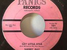 Sherry Ray 1963 Say Little Star Panics 101 Rare Indiana Anglo-Teen Doo-Wop VG+