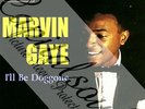 60S MOD SOUL TAMLA MOTOWN MARVIN GAYE I'LL BE DOGGONE PICTURE SLEEVE