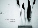 Feathers [VINYL] Poppy Ackroyd Vinyl
