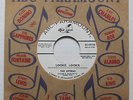 THE KITTENS Lookie Lookie/Find Him Guilty 1965 ABC-Paramount PROMO Soul 45 HEAR
