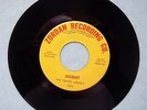 1967 CHICAGO GARAGE PUNK THE TRAVEL AGENCY JAILBAIT HARD TIMES