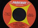JOHNNY MAESTRO & CRESTS: Heartburn / Try Me 45 Soul