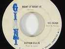 Action Ellis 