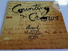 COUNTING CROWS-August and everything(LP)1993 GEF24528 HOLLAND+INSERT EX/EX-
