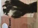 Faust s/t Kraut/noise 1971 debut 2007 180 gram reissue Clear vinyl/jacket LR138