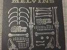 THE MELVINS #19/45 Tour Edition 7