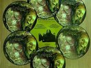 PATHOLOGIST - Grinding Opus of Forensic Medical Problems /PD/ Carcass