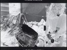 Nirvana Bleach New Vinyl LP