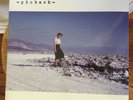 Pinback Blue Screen Life 2XLP 180 Gram Blue White Splattered Vinyl RSD 2016