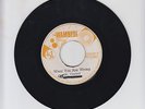WAMBESI/ WHEN YOU ARE WRONG  -  ROYALS (75  REGGAE ROCKERS 7