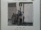 PATTI SMITH Horses Live: Electric Lady Studios 12