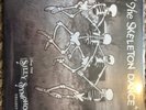 SILLY SYMPHONY COLL. DISNEY SKELETON DANCE THREE LITTLE PIGS VINYL 10
