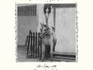 Patti Smith Horses Live Electric Lady Studios 2XLP 180 Gram Vinyl RSD 2016