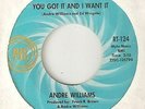 ANDRE WILLIAMS You Got It And I Want It RIC TIC DETROIT  NORTHERN SOUL 45
