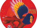 DAVID BOWIE rsd 2016 THE MAN WHO SOLD THE WORLD picture disc 12