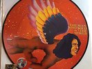 DAVID BOWIE The Man Who Sold The World Picture Disc LP Record Store Day 2016 RSD