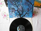 Amon Düül II Vinyl Phallus Dei, Kraut Rock Sunset SLS 50257 XAT TOP