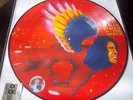 David Bowie - The Man Who Sold The World - RSD 2016 Vinyl Picture Disc