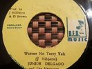 Junior Delgado Warrior No Tarry Yah Killer Roots 7
