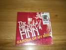 The Micky Finn-garden of my mind.7