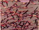 Deftones Gore 180 Gram 2LP Black Vinyl Foil Stamped 2464/3500 Pre-Order Sold Out