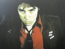 Crossing the Red Sea with the Adverts 2xLP sealed colored vinyl + download RSD