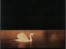 Van Morrison vinyl LP album record Avalon Sunset UK 839262-1 POLYDOR 1989