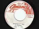 Larry Marshall - Behold I Come - FABULOUS