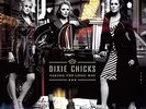 Taking The Long Way - 2 DISC SET - Dixie Chicks (2016, Vinyl NEW)
