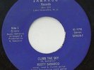 Rusty Samarco Climb The Sky Rare Private NJ Garage Punk Samarco Records 45