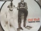 David Bowie Diamond Dogs Pic Disc