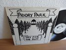 PRIORY PARK Try for the sun LP English folk 70s private press Mint