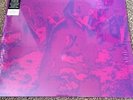 BARDO POND ACID GURU RARE RECORD STORE DAY 2016 COLORED VINYL LP MOTHERS TEMPLE