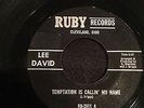 Lee David - Temptation Is Calling My Name
