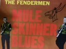 THE FENDERMEN MULE SKINNER BLUES 1960 LP-Soma 1240-Mono  NM GREAT ROCKABILY