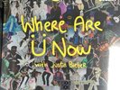SKRILLEX AND DIPLO WHERE ARE YOU NOW JUSTIN BIEBER 12