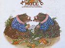 Matching Mole - Matching Mole (Vinyl, Ex.Cond., 1972, 32105)