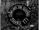 Gino and the Goons-Shake It   VINYL LP NEW