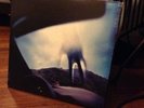 nine inch nails Year Zero double 12