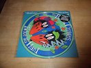 Picture Disc  The black Crows  Twice As Hard