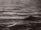 REICH, Steve - Four Organs/Phase Patterns (remastered) - Vinyl (LP)
