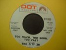 THE CITY ZU 45 DOT PROMO   Too Much Too Soon Too Fast   GARAGE PSYCH ROCK  Hear