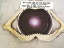 Leftfield - Leftism Double Vinyl LP Brand new with tags