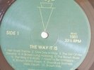 Vincent Gallo The Way It Is Test Press Lp