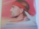 NEW sealed  WILLIE NELSON  City Of  New Orleans COLUMBIA 39145 LP Vinyl Record
