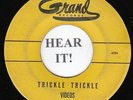 The Videos DOO WOP 45 (Grand 158) Trickle Trickle/Moonglow & You