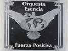 Orquesta Esencia - Fuerza Positiva LP - Palo Monte Rare Latin Salsa Funk SEALED