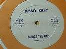 Jimmy Riley - Bridge The Gap/Love&Devotion Killer /Roots Reggae 12