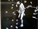 OHRENSAUSEN RARE LP WHITE VINYL COIL NURSE WITH WOUND SMEGMA EXPERIMENTAL MINT